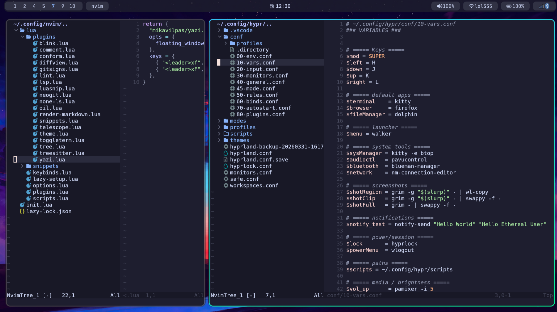 My dotfiles repository structure